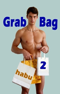 Grab Bag 2: An Unthemed Gay Erotica Anthology by Habu