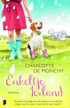 Enkeltje Ierland by Charlotte de Monchy