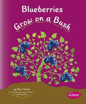 Blueberries Grow on a Bush by Mari Schuh