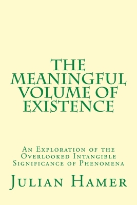 The Meaningful Volume of Existence: An Exploration of the Overlooked Intangible Significance of Phenomena by Julian Hamer