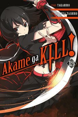 Akame Ga Kill!, Vol. 13 by Takahiro, Tetsuya Tashiro