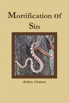 Mortification of Sin by John Owen, Terry Kulakowski