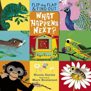 What Happens Next? by Nicola Davies, Marc Boutavant