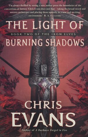 The Light of Burning Shadows by Chris Evans