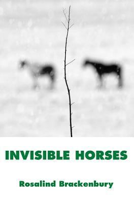 Invisible Horses by Rosalind Brackenbury