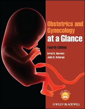 Obstetrics and Gynecology at a Glance by Errol R. Norwitz, John O. Schorge