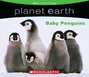 Baby Penguins by Quinlan B. Lee, Quinlan B. Lee