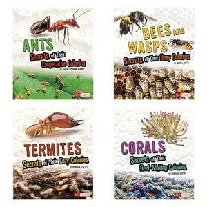 Amazing Animal Colonies by Sara Lynn Latta, Karen Kenney, Rebecca Stefoff