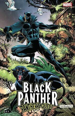 Black Panther: Panther's Quest by Don McGregor, Gene Colan
