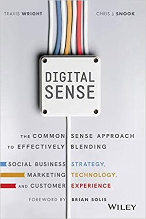 Digital Sense: The Common Sense Approach To Effectively Blending Social Business Strategy, Marketing by Travis Wright, Chris J. Snook