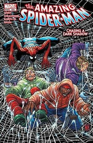 Amazing Spider-Man (1999-2013) #503 by J. Michael Straczynski