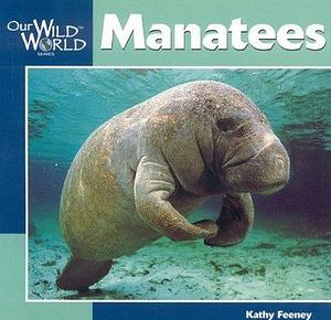 Manatees by Kathy Feeney