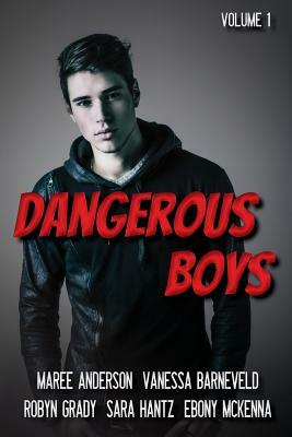 Dangerous Boys: Down Under YA Authors Present by Maree Anderson, Sara Hantz, Vanessa Barneveld