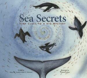 Sea Secrets: Tiny Clues to a Big Mystery by Beth E. Simmons, Mary M. Cerullo