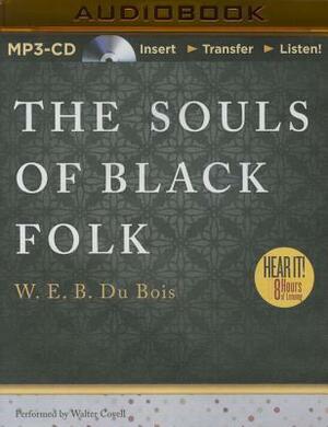 The Souls of Black Folk by W.E.B. Du Bois