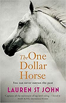 Yhden dollarin hevonen by Lauren St. John