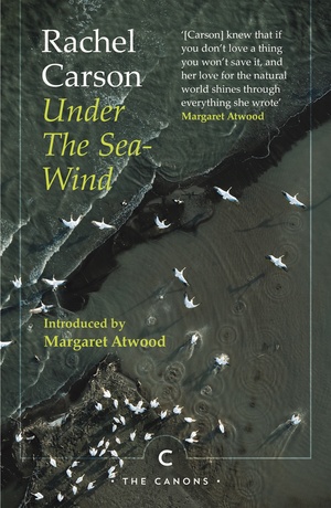Under the Sea-Wind: Rachel Carson by Rachel Carson