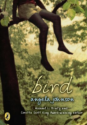 Bird by Angela Johnson