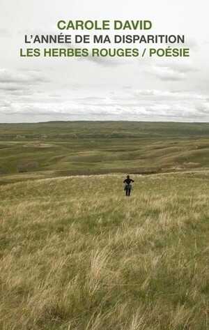 L'année de ma disparition by Carole David