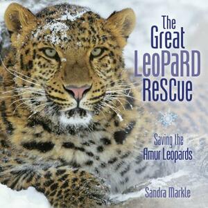 The Great Leopard Rescue by Sandra Markle