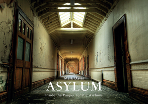 Asylum: Inside the Pauper Lunatic Asylums by Mark Davis