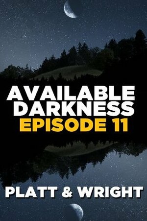 Available Darkness: Episode 11 by Sean Platt, David W. Wright