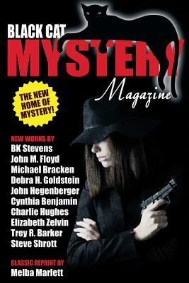 Black Cat Mystery Magazine #2 by John M. Floyd, John Hegenberger, Michael Bracken