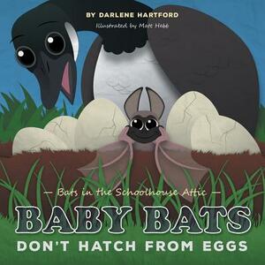Baby Bats Don't Hatch From Eggs: Bats in the Schoolhouse Attic by Darlene Hartford
