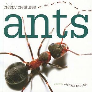 Ants by Valerie Bodden