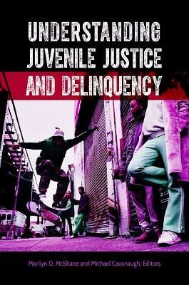 Understanding Juvenile Justice and Delinquency by 