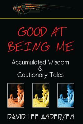 Good at Being Me: Accumulated Wisdom and Cautionary Tales by David Lee Andersen