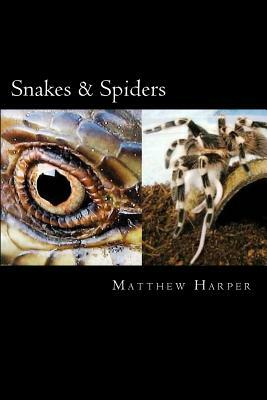 Snakes & Spiders: Two Fascinating Books Combined Together Containing Facts, Trivia, Images & Memory Recall Quiz: Suitable for Adults & C by Matthew Harper