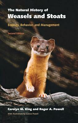 The Natural History of Weasels and Stoats: Ecology, Behavior, and Management by Carolyn M. King, Roger a. Powell