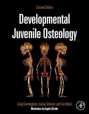 Developmental Juvenile Osteology by Sue Black, Craig Cunningham, Louise Scheuer