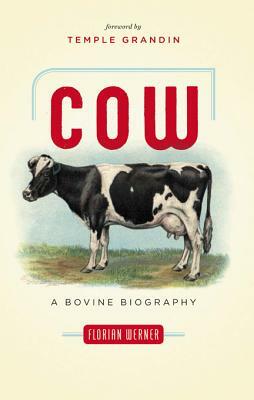 Cow: A Bovine Biography by Florian Werner