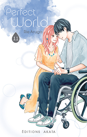 Perfect World, Tome 11 by Rie Aruga