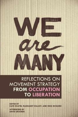We Are Many: Reflections on Movement Strategy from Occupation to Liberation by 
