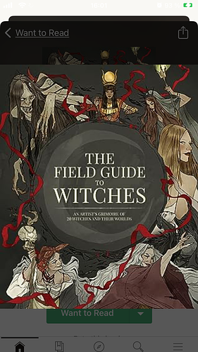 The Field Guide to Witches: An artist’s grimoire of 20 witches and their worlds by 3dtotal Publishing