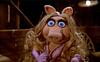 librarianmaggs's profile picture