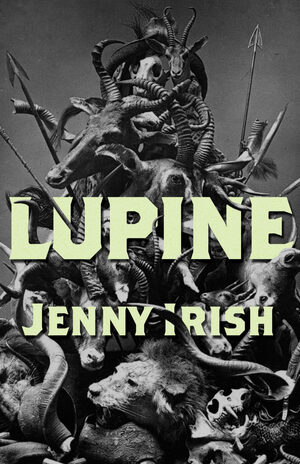Lupine by Jenny Irish