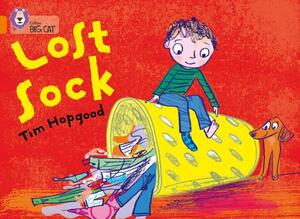 The Lost Sock by Tim Hopgood