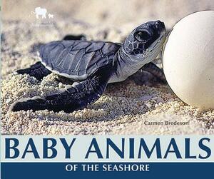 Baby Animals of the Seashore by Carmen Bredeson