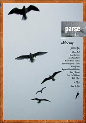 Parse, Vol. 1: Alchemy by Jai Chakrabarti, Raymond Daniel Medina, Elana Bell, John J. Trause, Chad Griffin, Robert Bevan Dalton, Mara Jebsen, Oscar Bermeo, Scot Lee Williams, Sabrina Hayeem-Ladani, Rich Villar