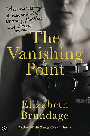 The Vanishing Point: A Novel by Elizabeth Brundage