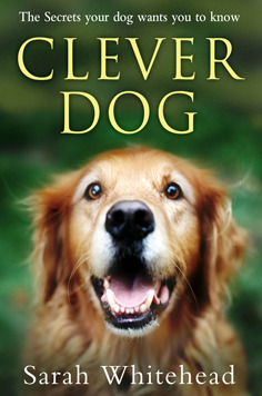 Clever Dog - The Secrets Your Dog Wants You to Know by Sarah Whitehead