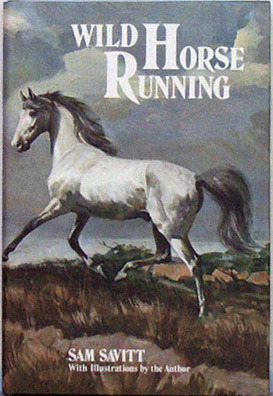 Wild Horse Running by Sam Savitt