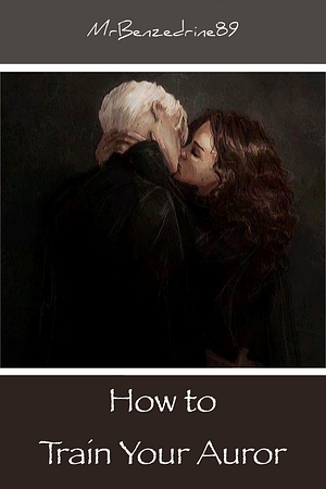 How to Train Your Auror by MrBenzedrine89