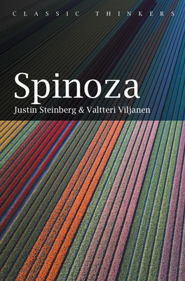 Spinoza by Justin Steinberg
