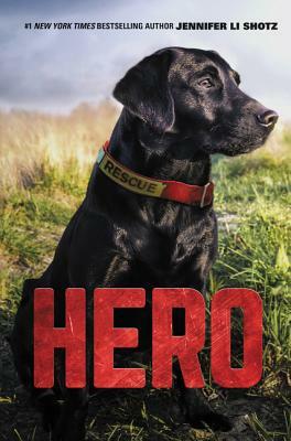 Hero by Jennifer Li Shotz