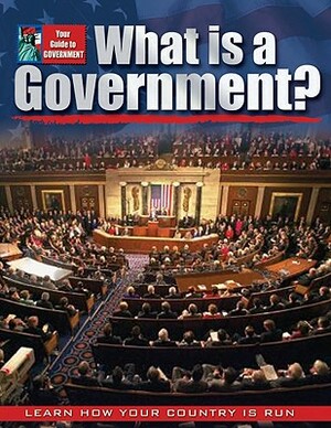 What Is a Government? by Baron Bedesky